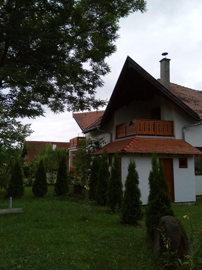 Casa Lacul Mierlei Ξενοδοχείο Sovata Εξωτερικό φωτογραφία