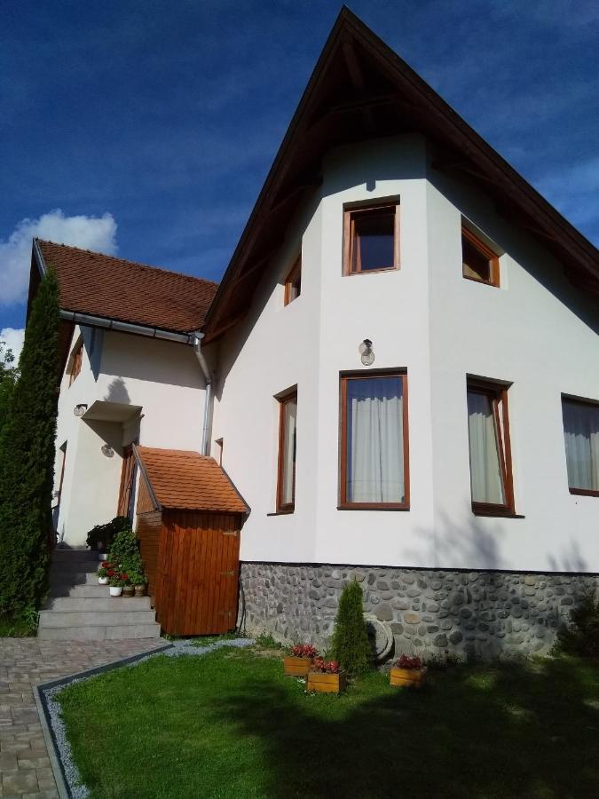 Casa Lacul Mierlei Ξενοδοχείο Sovata Εξωτερικό φωτογραφία